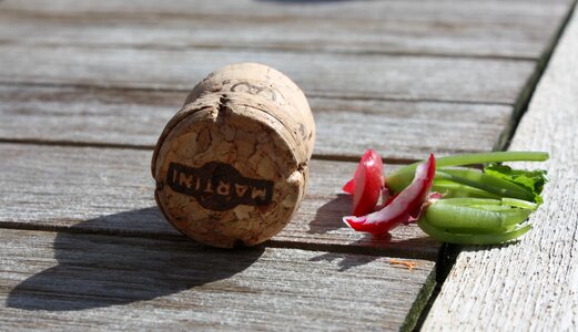 Table atmosphere radish