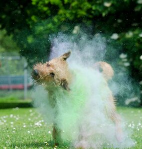 Color mist fog holipulver
