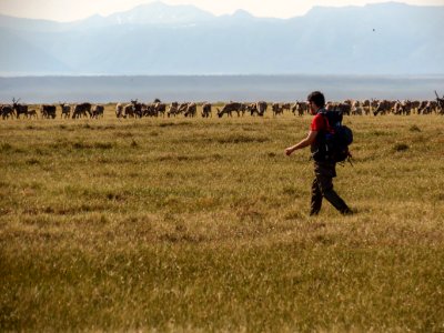 2019 Arctic Virtual Bird Fest