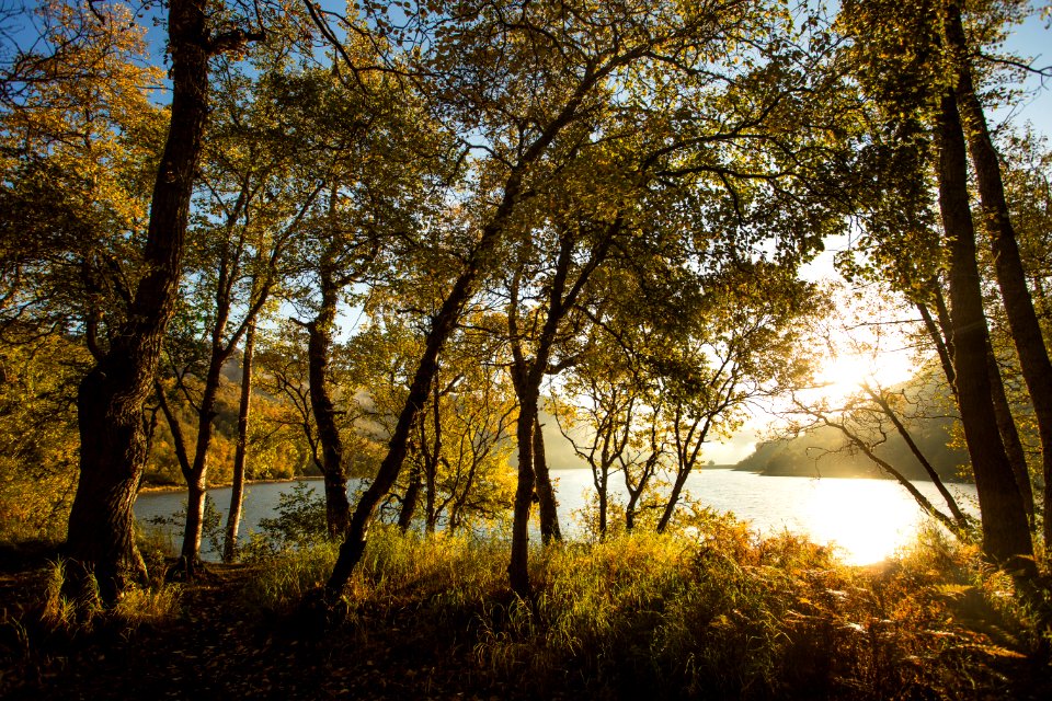 Sunrise at the lake