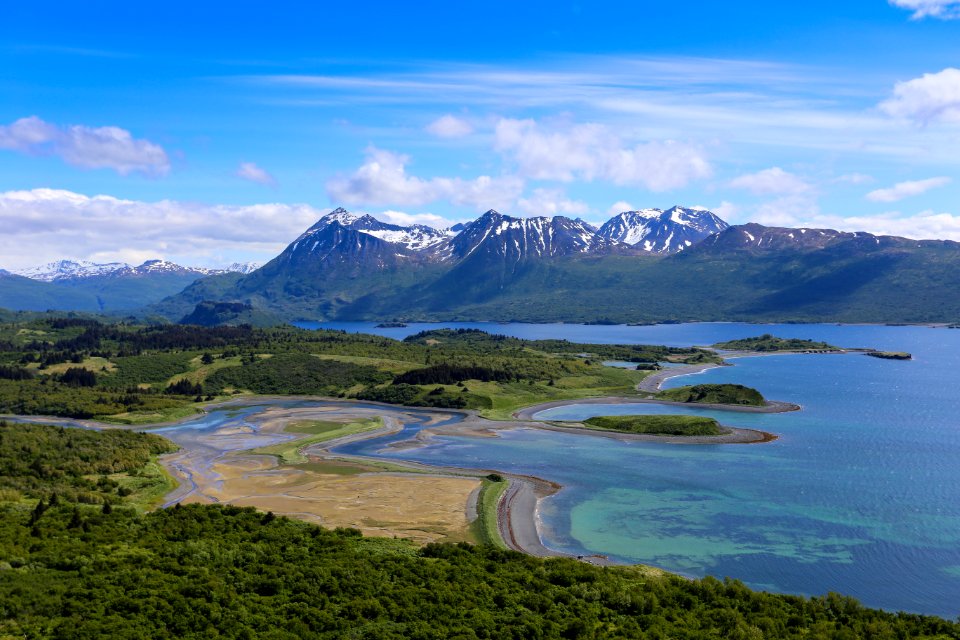 Uganik Bay in June