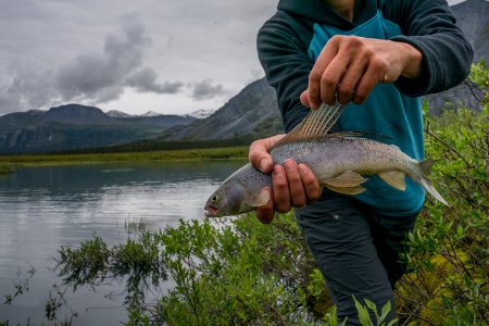 Arctic Refuge - Sheenjek River photo