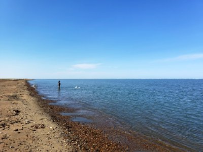 2019 Arctic Virtual Bird Fest