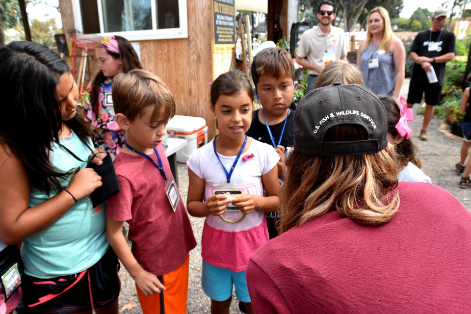 Monarch Butterfly Tagging Event