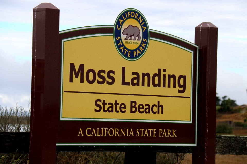 Moss Landing State Beach