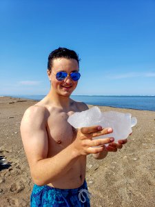 2019 Arctic Virtual Bird Fest
