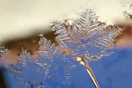 Cold frost crystallization photo