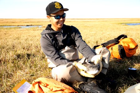Biology intern with red-throated loon - Arctic Bird Fest 2019