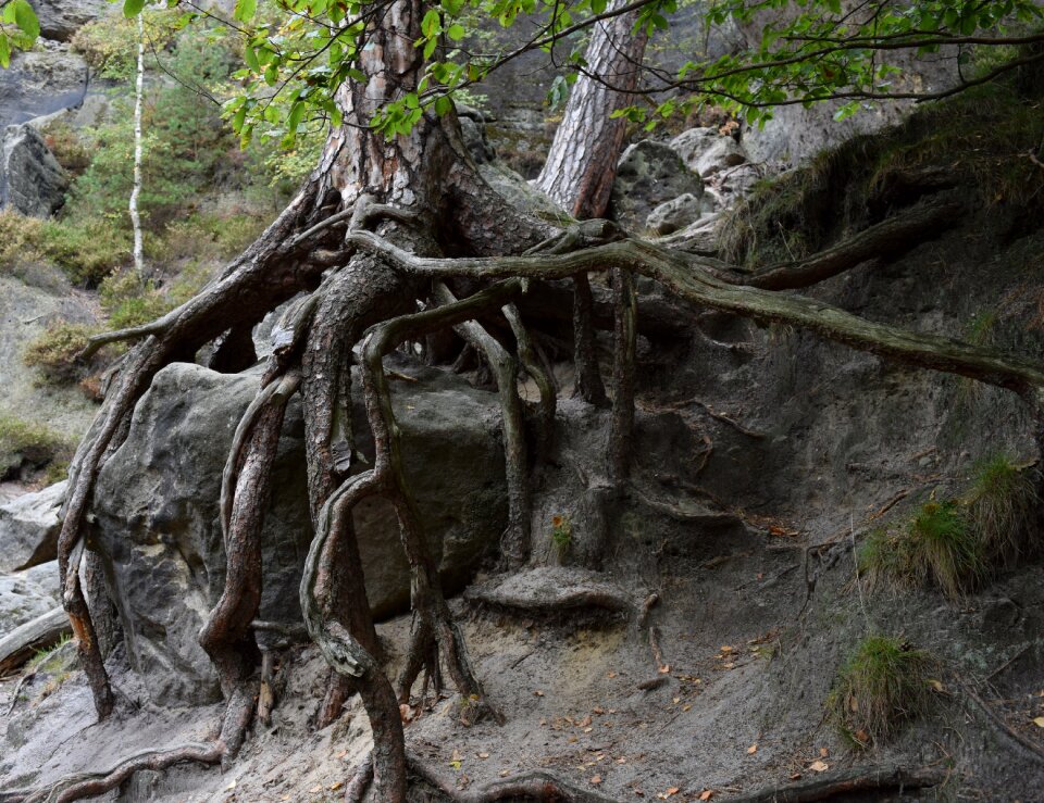 National park nature rock