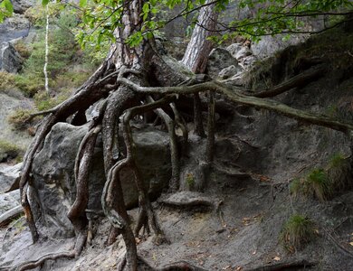 National park nature rock