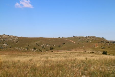 Swaziland