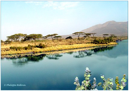 Lac Beseka © Ethiopie