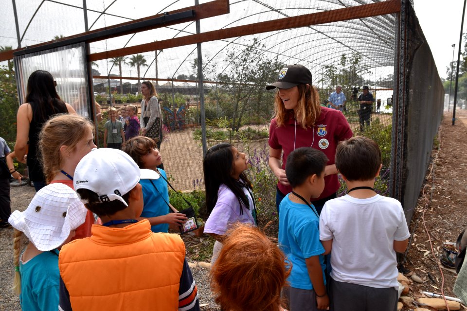 Monarch Butterfly Tagging Event