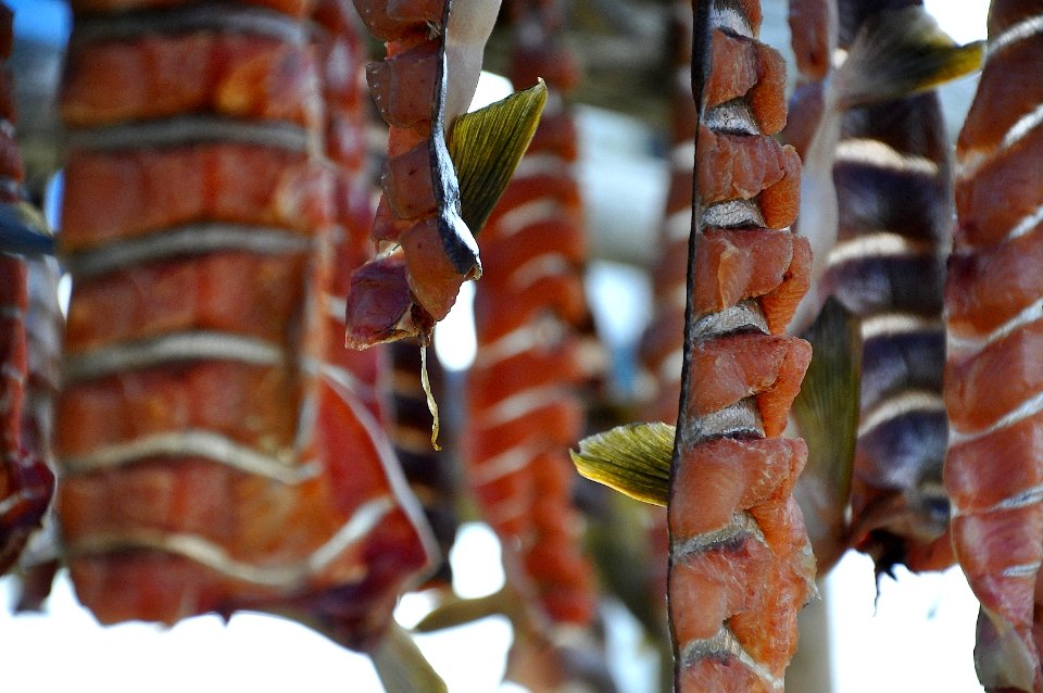Dried Salmon