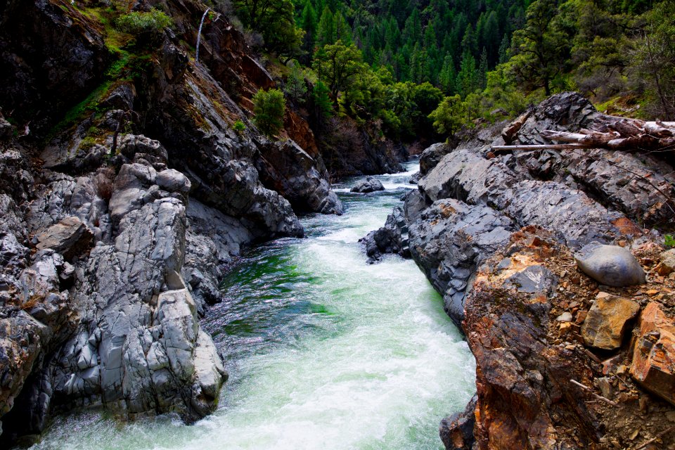 Lower Deer Creek fish passage project