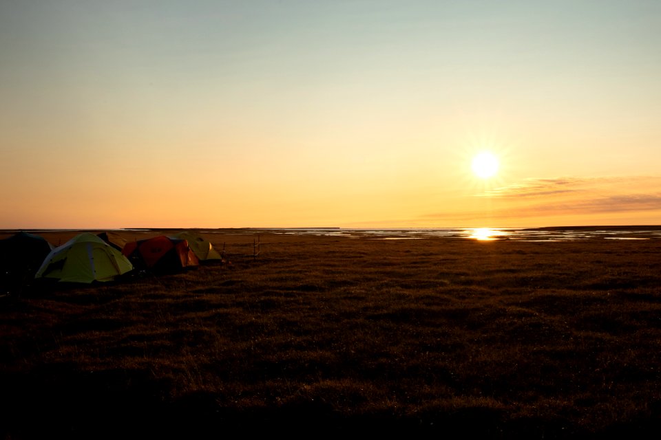 Arctic Bird Fest 2019