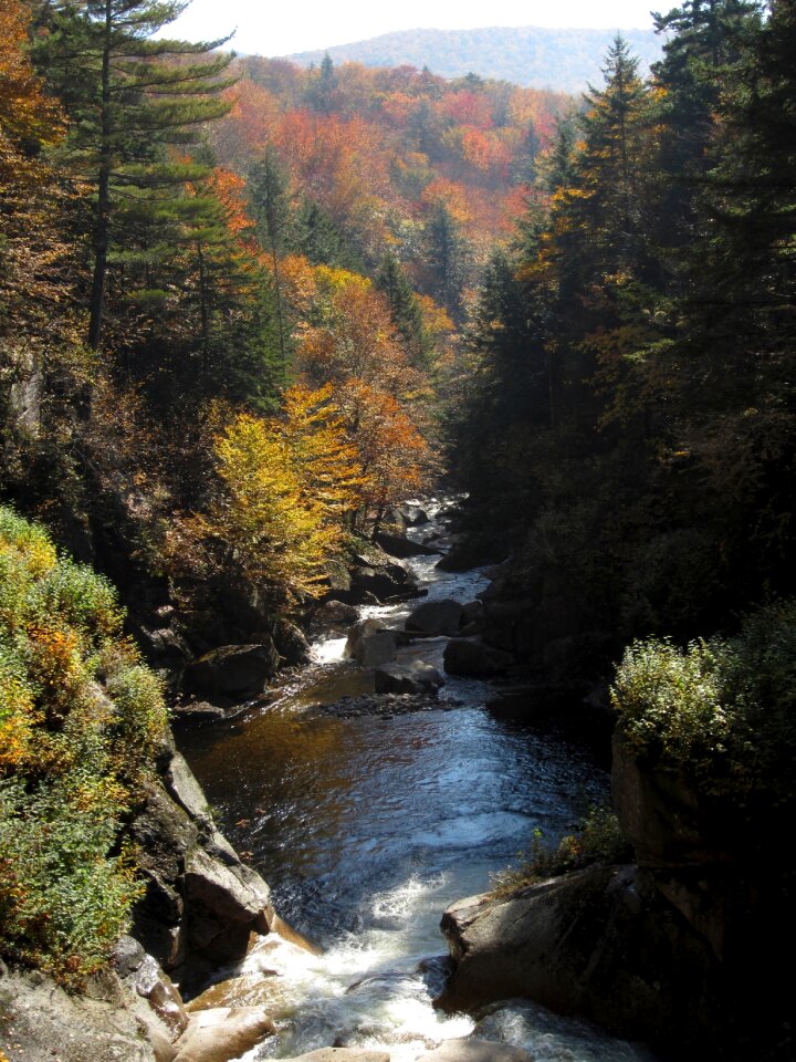 Cascades rapids stones