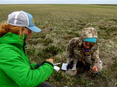 2019 Arctic Virtual Bird Fest