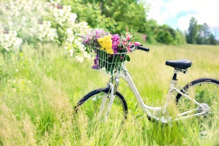 Grass bike spring