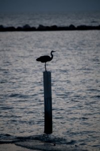 20170919-OC-LSC-0074