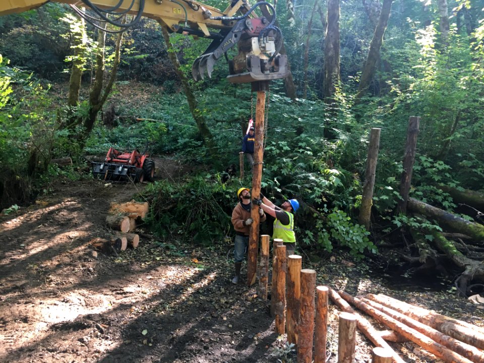 Setting up beaver dam analogues
