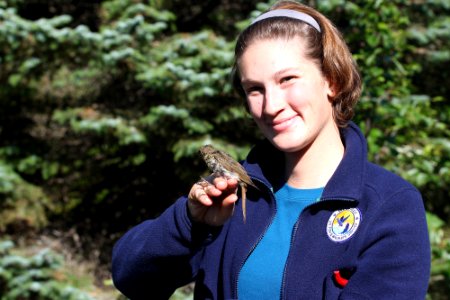 Avian volunteer Katie Studholme with a banded landbird photo