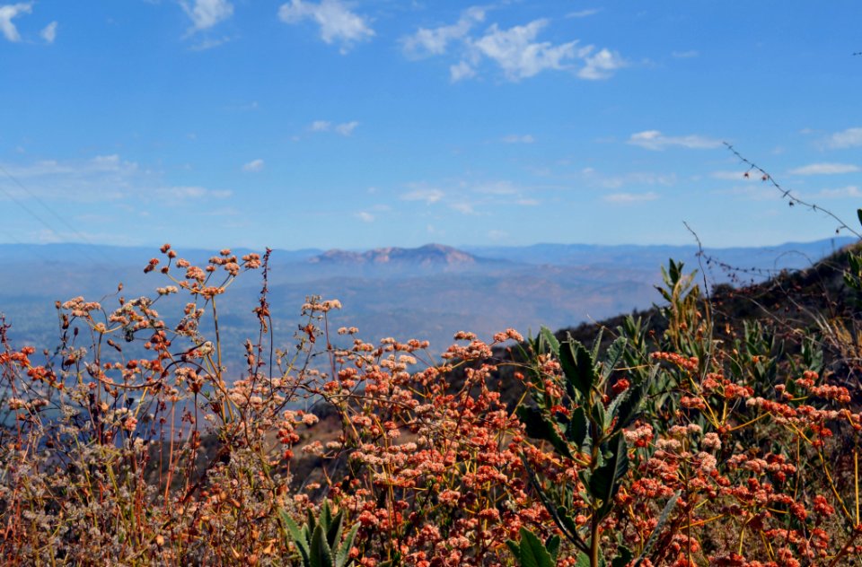 San Diego National Wildlife Refuge