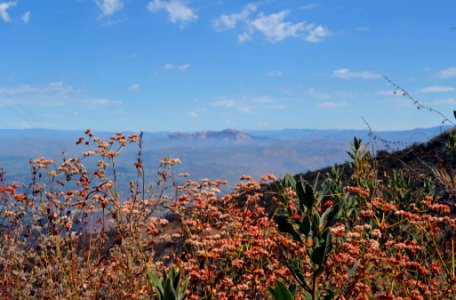 San Diego National Wildlife Refuge photo