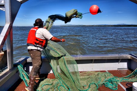 Delta monitoring 5-2-17