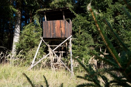 Wild hunter seat perch photo