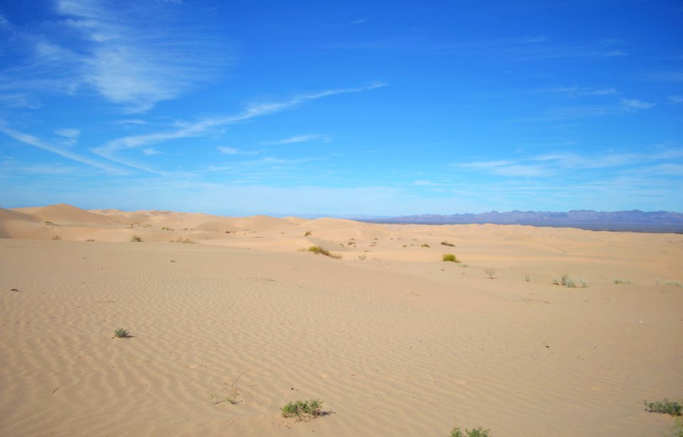 Algodones Dunes Wilderness Area