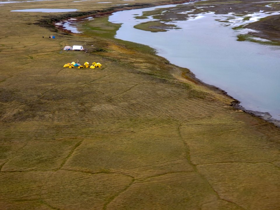 2019 Arctic Virtual Bird Fest