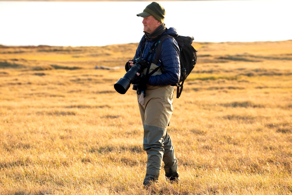 Arctic Bird Fest 2019