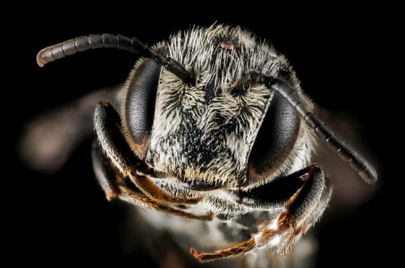modesta, male, face 2012-07-16-18.19