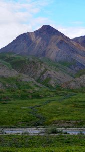 Wilderness and spotting wildlife