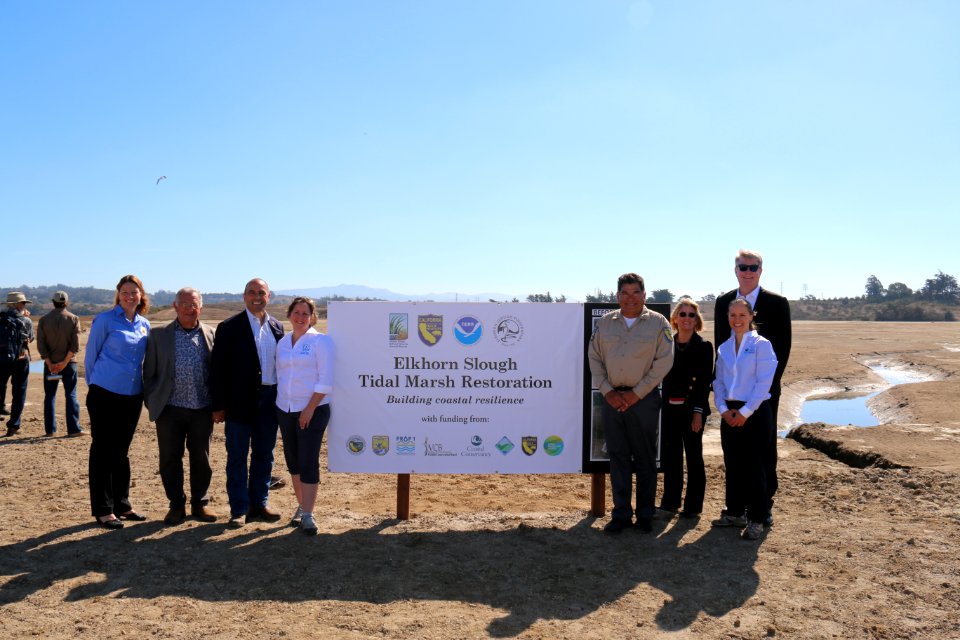 Elkhorn Slough designated "Wetland of International Importance"