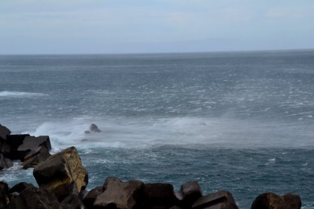 DSC 1624