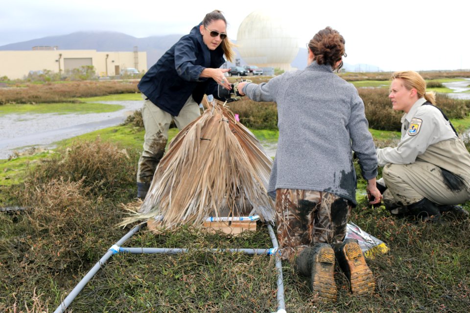 FWS female biologists