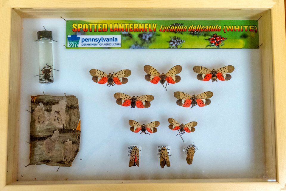 20180515-APHIS-PJK-0133 TONED