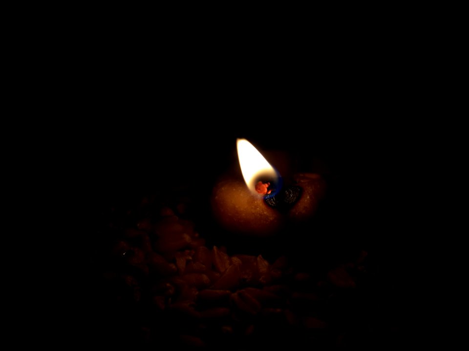 Feel the light