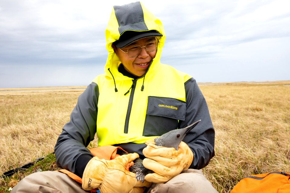 Arctic Bird Fest 2019