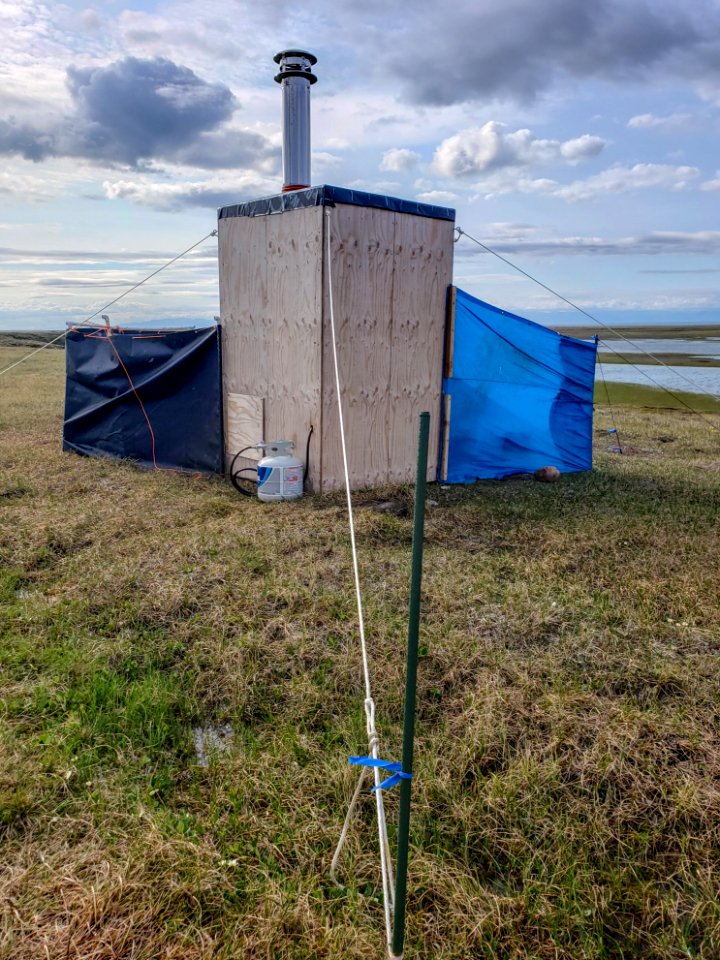 2019 Arctic Virtual Bird Fest