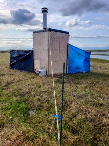 2019 Arctic Virtual Bird Fest