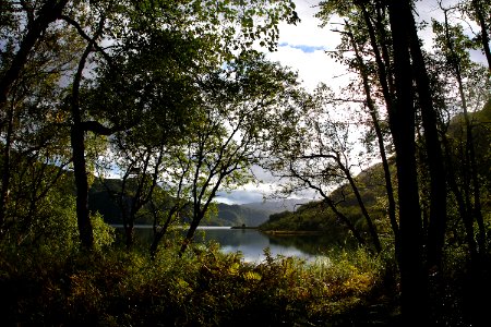 Lower Uganik Lake