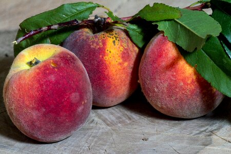 Ripe leaves stone fruit