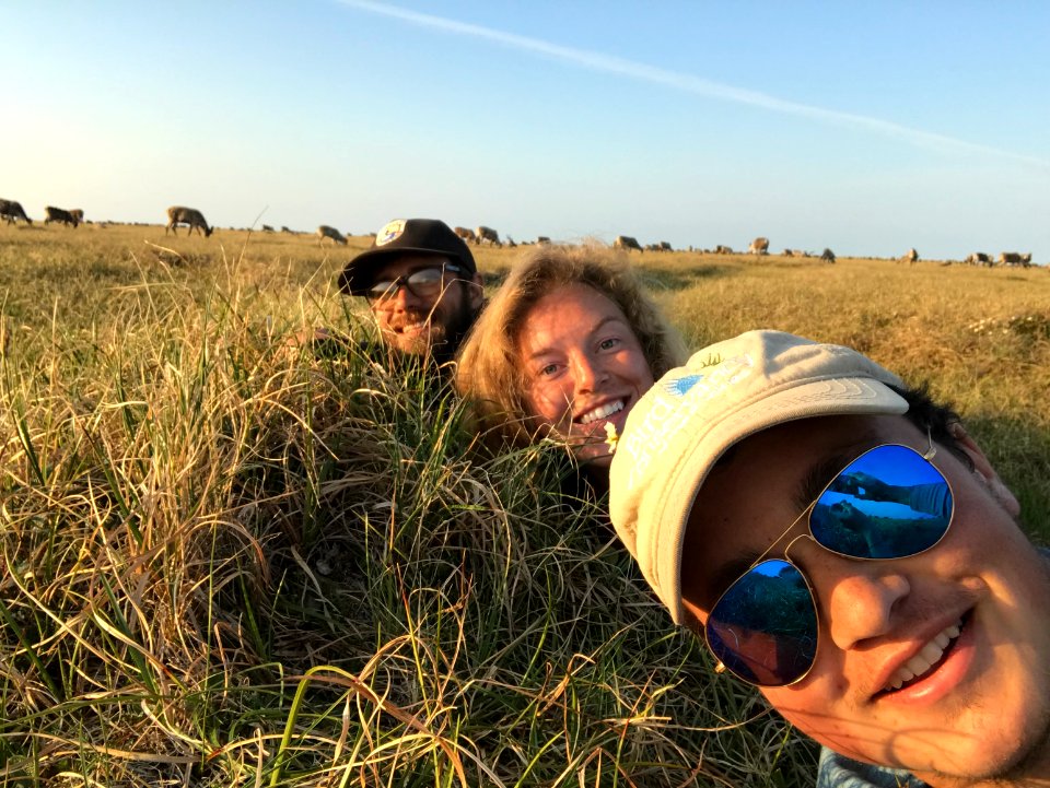 2019 Arctic Virtual Bird Fest