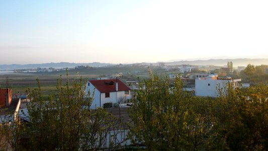 Pamje e agimit në fshat, Rrushkull