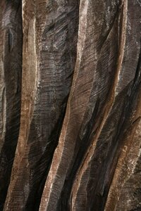 Wood nature sculpture