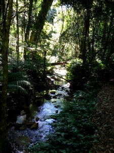 BUNYA MT RETREAT 2013 photo