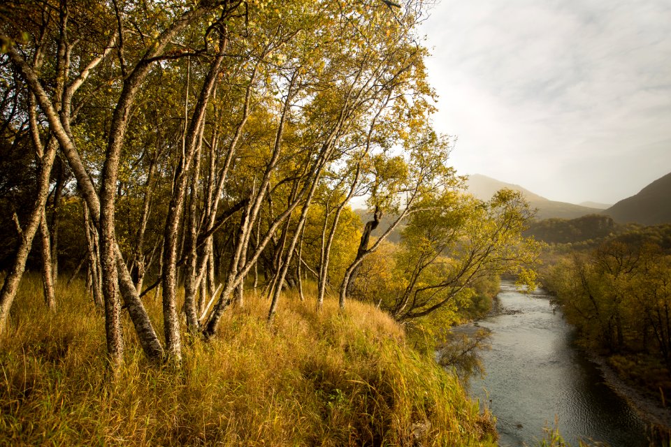 Above Uganik River